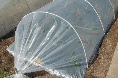 Film de forçage 2 x 5 50 m Jany France