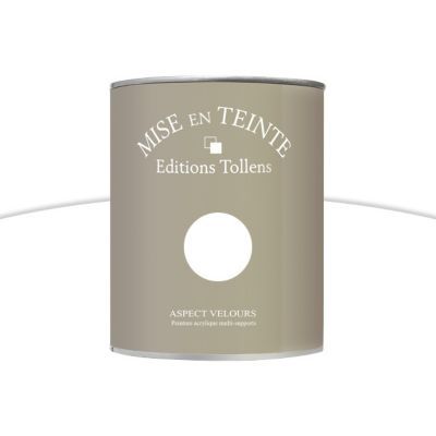 Peinture murs et boiseries Tollens Mise en teinte blanc mat velours 1L
