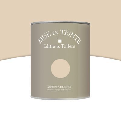 Peinture murs et boiseries Tollens Mise en teinte café au lait mat velours 1L