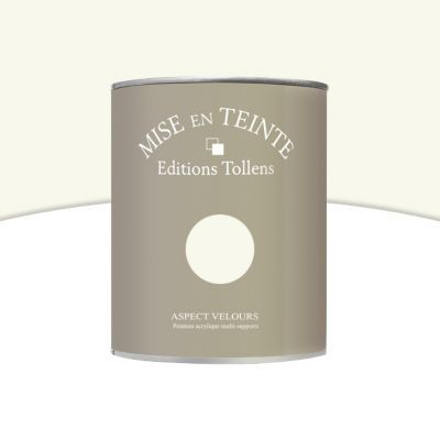 Peinture murs et boiseries Tollens Mise en teinte gingembre mat velours 1L