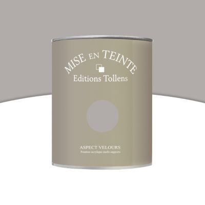 Peinture murs et boiseries Tollens Mise en teinte granit mat velours 1L