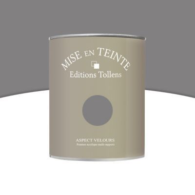 Peinture murs et boiseries Tollens Mise en teinte flanelle mat velours 1L