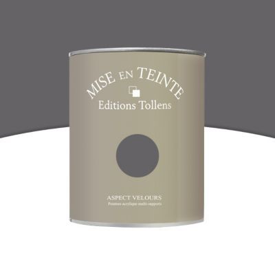 Peinture murs et boiseries Tollens Mise en teinte zinc mat velours 1L