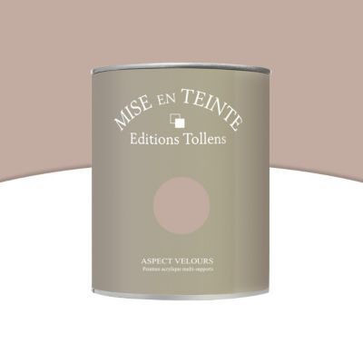 Peinture murs et boiseries Tollens Mise en teinte chamois mat velours 1L