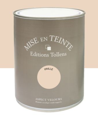Peinture murs et boiseries Tollens Mise en teinte paille mat velours 1L