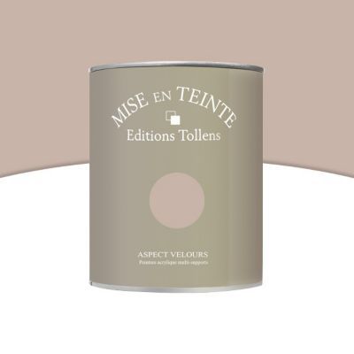 Peinture murs et boiseries Tollens Mise en teinte marron givré mat velours 1L