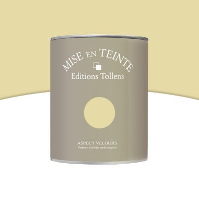 Peinture murs et boiseries Tollens Mise en teinte coing mat velours 1L