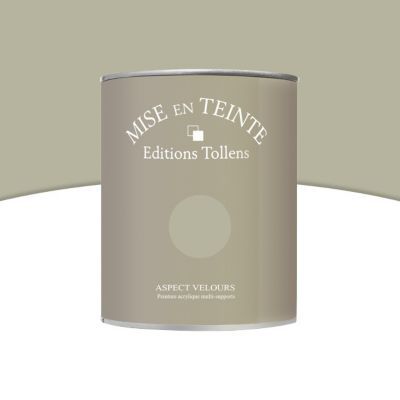 Peinture murs et boiseries Tollens Mise en teinte eucalyptus mat velours 1L