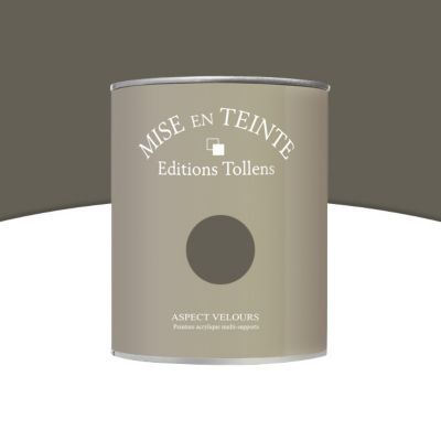 Peinture murs et boiseries Tollens Mise en teinte crepuscule mat velours 1L