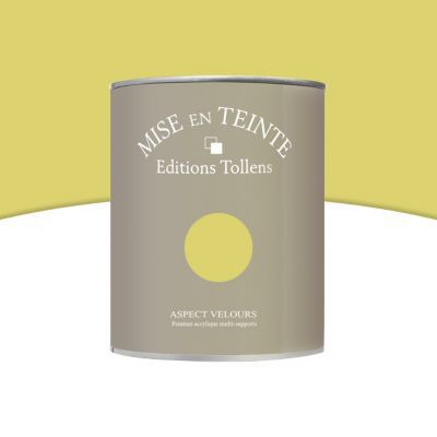 Peinture murs et boiseries Tollens Mise en teinte palmier mat velours 1L