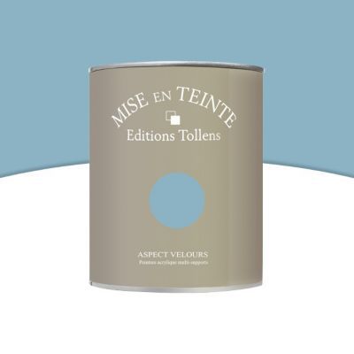 Peinture murs et boiseries Tollens Mise en teinte bleu rétro mat velours 1L