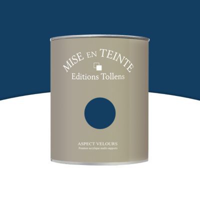 Peinture murs et boiseries Tollens Mise en teinte nocturne mat velours 1L