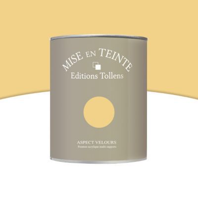Peinture murs et boiseries Tollens Mise en teinte maïs mat velours 1L