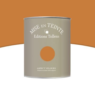 Peinture murs et boiseries Tollens Mise en teinte cuir mat velours 1L