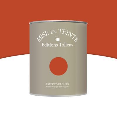 Peinture murs et boiseries Tollens Mise en teinte caramel brûle mat velours 1L