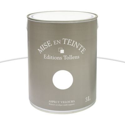 Peinture murs et boiseries Tollens Mise en teinte blanc mat velours 3L