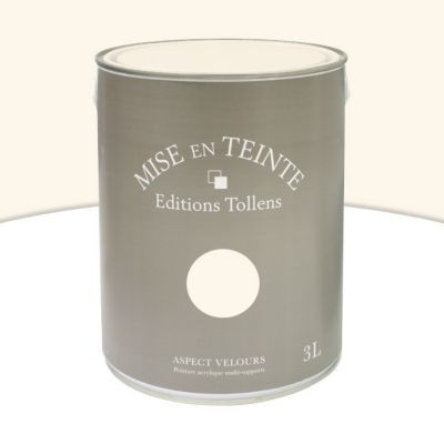 Peinture murs et boiseries Tollens Mise en teinte porcelaine mat velours 3L