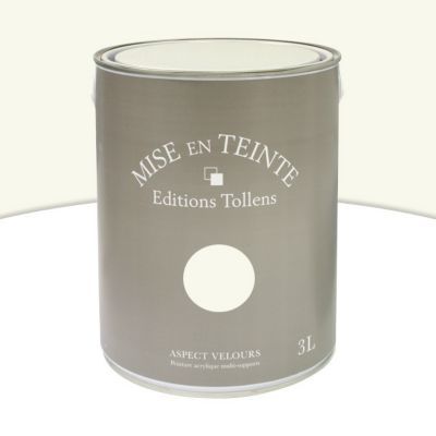 Peinture murs et boiseries Tollens Mise en teinte gingembre mat velours 3L