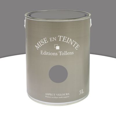 Peinture murs et boiseries Tollens Mise en teinte flanelle mat velours 3L