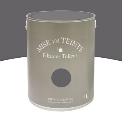 Peinture murs et boiseries Tollens Mise en teinte zinc mat velours 3L
