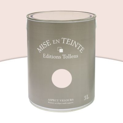 Peinture murs et boiseries Tollens Mise en teinte grège mat velours 3L