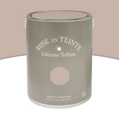 Peinture murs et boiseries Tollens Mise en teinte marron givré mat velours 3L