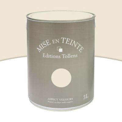 Peinture murs et boiseries Tollens Mise en teinte parchemin mat velours 3L