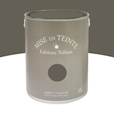 Peinture murs et boiseries Tollens Mise en teinte crepuscule mat velours 3L