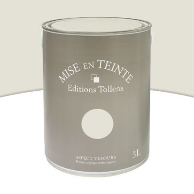 Peinture murs et boiseries Tollens Mise en teinte lin mat velours 3L
