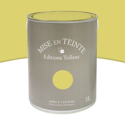 Peinture murs et boiseries Tollens Mise en teinte palmier mat velours 3L