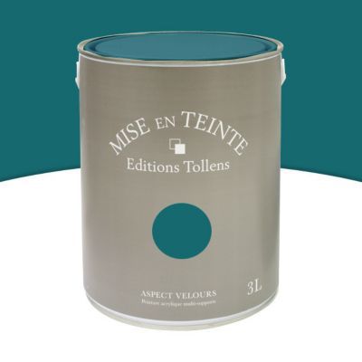 Peinture murs et boiseries Tollens Mise en teinte vert empire mat velours 3L