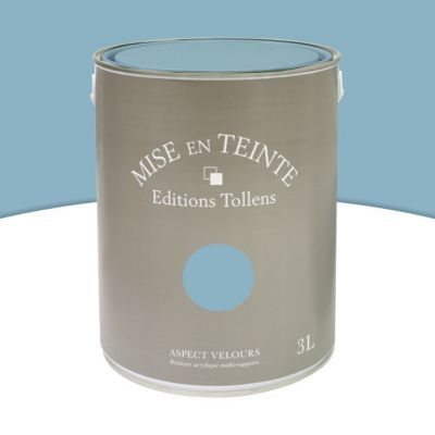 Peinture murs et boiseries Tollens Mise en teinte bleu rétro mat velours 3L