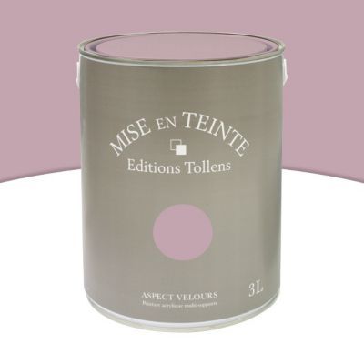 Peinture murs et boiseries Tollens Mise en teinte bruyère mat velours 3L