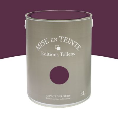 Peinture murs et boiseries Tollens Mise en teinte grenat mat velours 3L