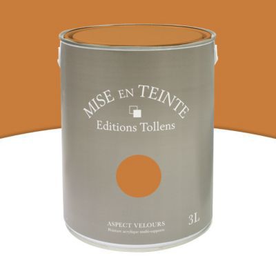 Peinture murs et boiseries Tollens Mise en teinte cuir mat velours 3L