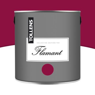 Peinture murs et boiseries Tollens Flamant Carmina Mat 2L