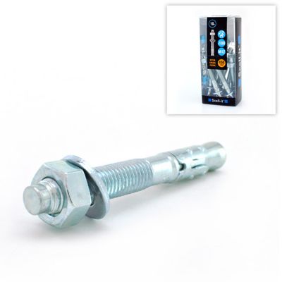 10 chevilles d'ancrage M12 x 100 mm