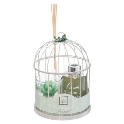 Comptoir De La Bougie C de Fragrances Cage 20cm Eucalyptus - vue 2