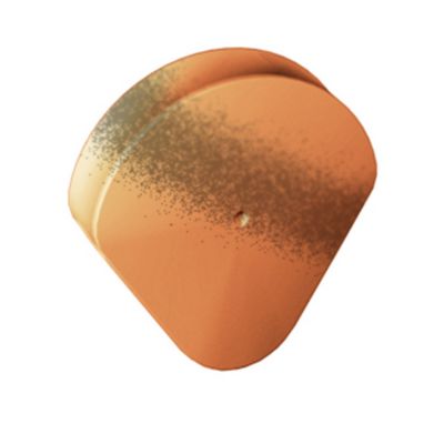 Fronton de rive à rabat Gallo Romane silvacane littoral