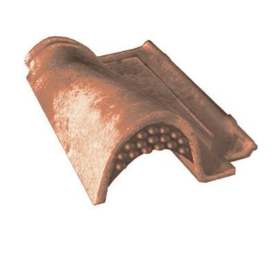 Tuile chatière grillagée Abeille silvacane littoral