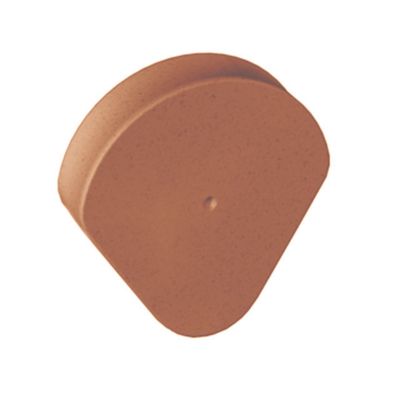 Fronton de rive à rabat Romane silvacane littoral