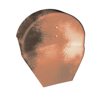 Fronton de rive ronde Abeille silvacane littoral