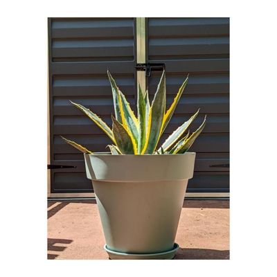 Bac à fleurs rond RIVIERA GRANIT Plastique Diamètre 50 cm - vue 3