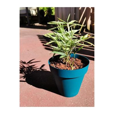 Bac à fleurs rectangulaire RIVIERA GRANIT Plastique 80x40 cm - vue 5