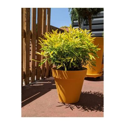 Bac à fleurs rectangulaire RIVIERA GRANIT Plastique 80x40 cm - vue 6