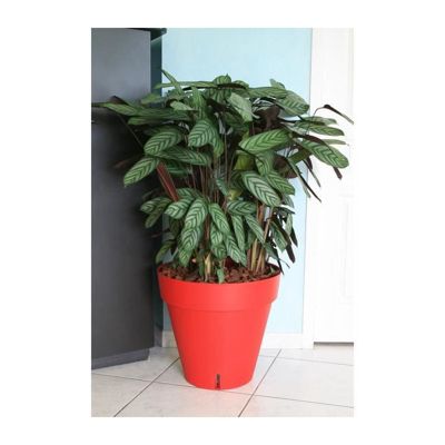 RIVIERA Pot de fleurs Loft avec réserve d'eau Rond Ø 50 x H 46 cm - vue 4