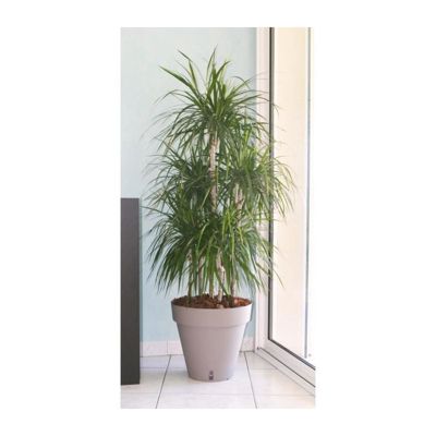 RIVIERA Pot de fleurs Loft avec réserve d'eau Rond Ø 50 x H 46 cm - vue 3