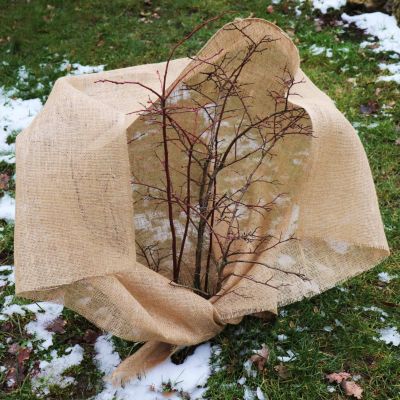 35m x 1m tissu de jute 215g/m² tapis de jute jute de jardin tissu de jute Aquagart