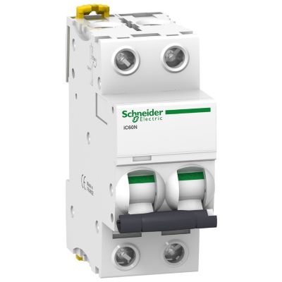 A9f75204 Disjoncteur Courbe D Bipolaire 2p 50ka à Vis Schneider Electric Acti9 Ic60n