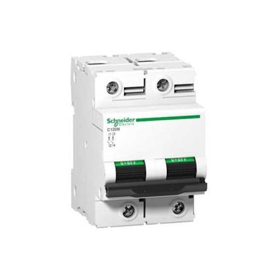 Disjoncteur C120N 2P Courbe D 10 kA